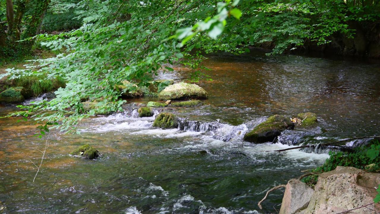 Les Chalets Du Moulin De Valade Condat-sur-Trincou 外观 照片